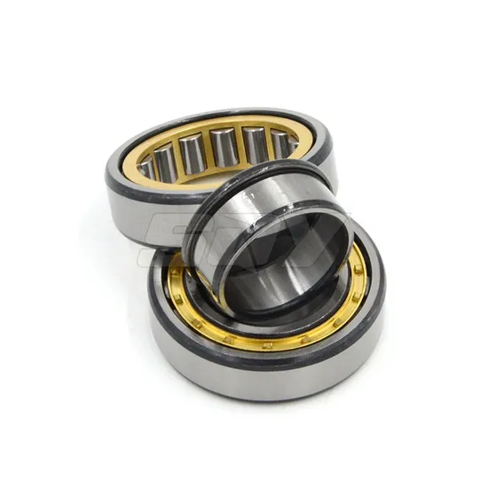 Good Quality Bearing Nu2308 Nup2308 Nj2308 Nn3008 N308 Nj308 Nu308 N209 Nj209 Nu209